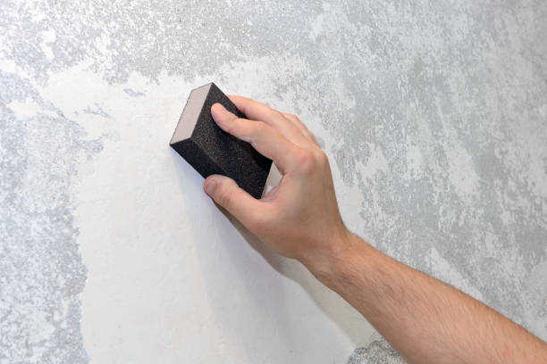 Best Mold Prevention Services  in Wd, AR
