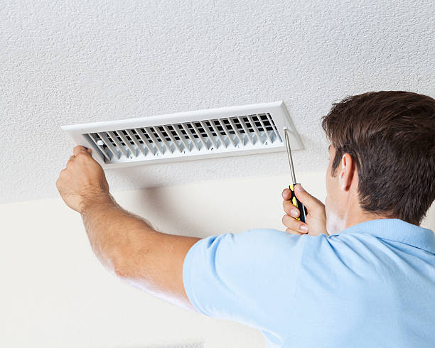 Mold Odor Removal Services in Ward, AR