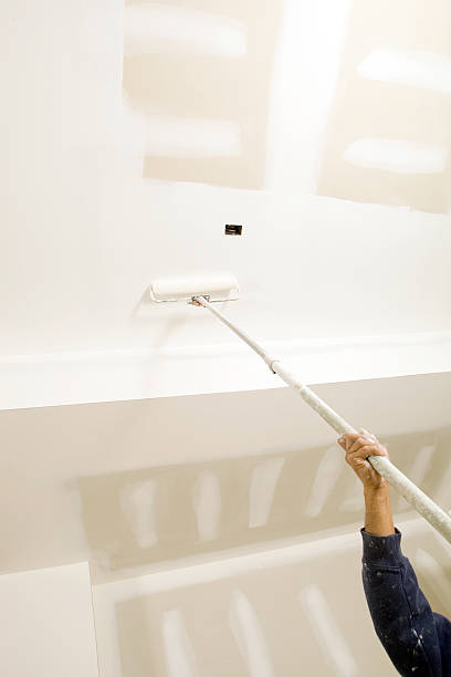 Best Mold Damage Restoration  in Wd, AR